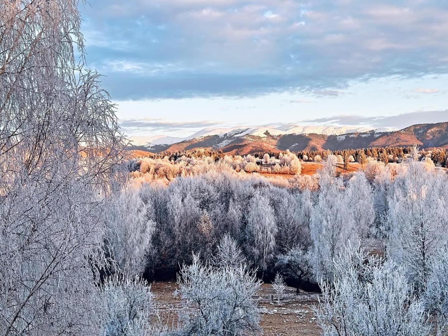 Pensiunea Gradina Ascunsa Bughea de Jos Экстерьер фото