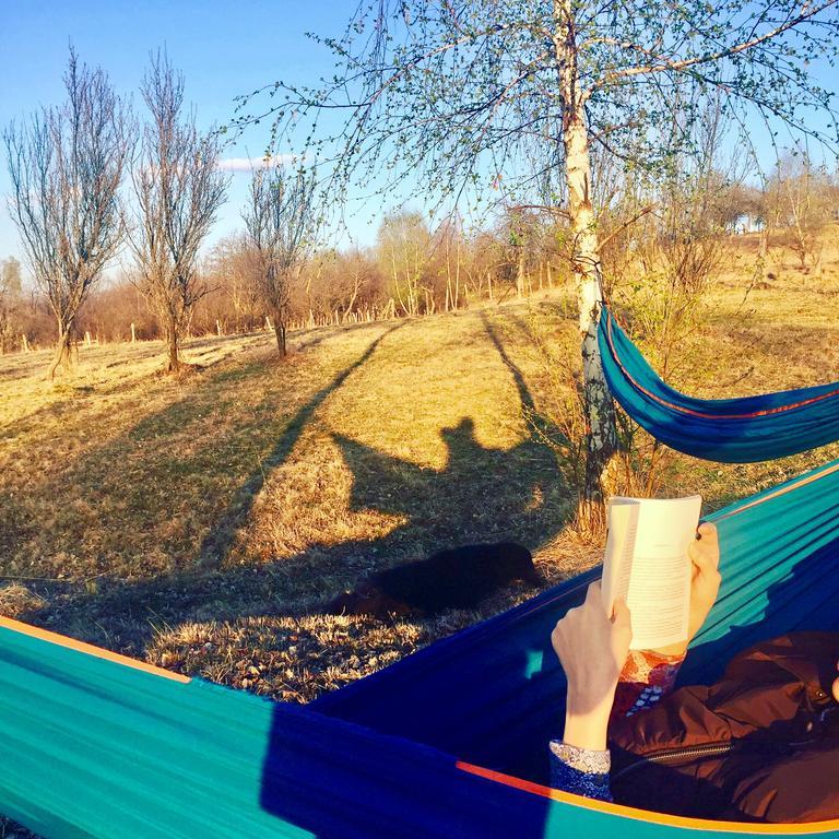 Pensiunea Gradina Ascunsa Bughea de Jos Экстерьер фото