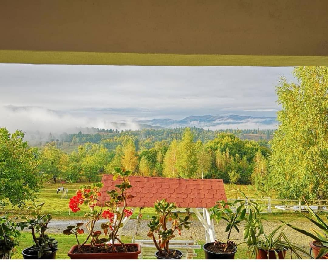 Pensiunea Gradina Ascunsa Bughea de Jos Экстерьер фото